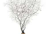 a gold vase with a tree in it on a white background