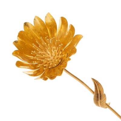 une fleur jaune qui se trouve sur la tige d'une tige