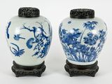 paire de vases bleus et blancs ornés d'oiseaux et de fleurs