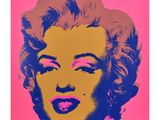 a pink and blue marilyn monroe print on a pink background