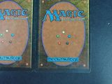 pair of magic the gathering deck protectors for deckmaster