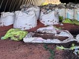 many bags of dirt and bags of vegetables inside of a building
