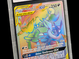 une image d'une carte Pokémon dans un étui en plastique