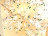 a picture of a folding screen with flowers on it