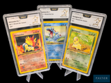 Trois cartes Pokémon sont présentées dans des pochettes en plastique sur un fond noir.