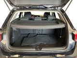 the back of a car with the trunk open and a dog in the back seat