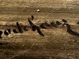 a close up of a piece of wood with writing on it