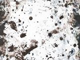 an image of a painting with black and white paint on it