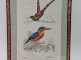 an image of a picture of two birds on a branch