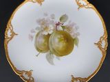 a plate with a painting of two apples on it