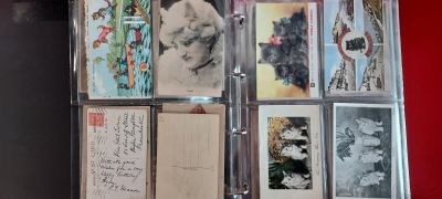une vitrine sur laquelle sont exposées de nombreuses photos anciennes