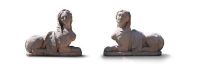 two statues of a dog and a cat on a white surface