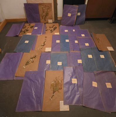 de nombreux morceaux de papier éparpillés sur le sol