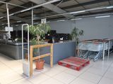 une plante en pot posée sur une table au milieu d'une pièce