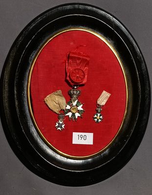 a picture of a picture of a medal in a frame
