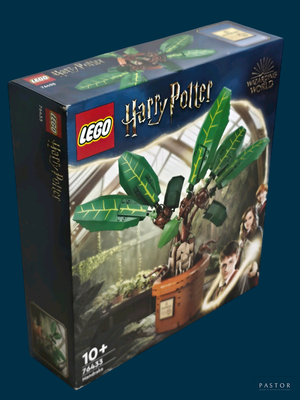 une boîte de Lego contenant une plante, sur fond bleu