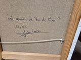 Photo 8/8 du lot