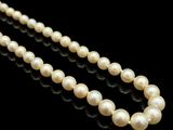 gros plan d'un collier de perles sur une surface noire
