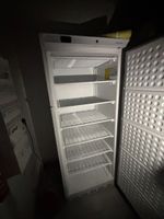 G7: Armoire réfrigérée 1 porte négative POLAR (photo 2)