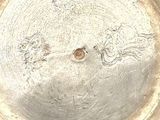 a close up of a silver plate with a design on it