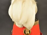 une image représentant un chapeau rouge surmonté d'une plume blanche