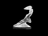 black and white photograph of a sculpture of a bird on a black background