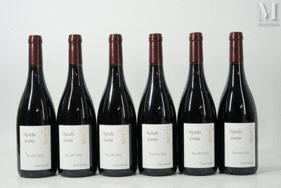 six bouteilles de vin sont alignées sur une table