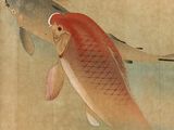 a painting of a koi fish swimming in the water