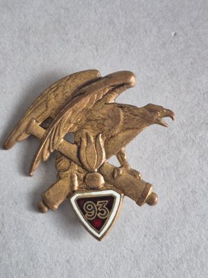 une image représentant un aigle doré portant un bouclier sur le dos