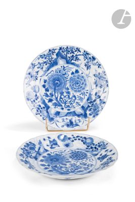 deux assiettes bleues et blanches ornées de fleurs sur un fond blanc