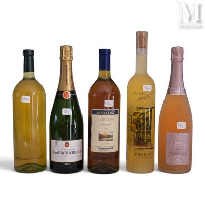 bottles of wine are lined up in a row on a white surface