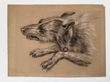 dessin représentant un chien couché, une patte posée sur le sol