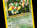 une carte Pokémon sur laquelle figurent deux fleurs
