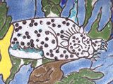 a picture of a fish that is painted on a wall