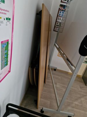a white toilet sitting next to a wall with pictures on it