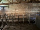 a room with a lot of sheep inside of it