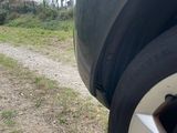 a cat that is sitting under the tire of a car