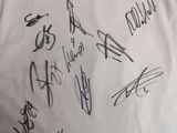 Photo 5/18 du lot