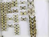 a lot of butterflies that are on display in a glass case