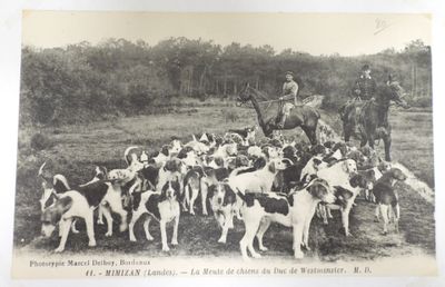une photo en noir et blanc représentant un groupe de chiens et un homme à cheval