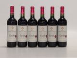 six bouteilles de vin rouge alignées sur une surface blanche