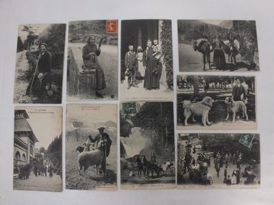 plusieurs vieilles photos en noir et blanc représentant des personnes et des animaux dans une rue