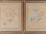 deux tableaux représentant des fleurs, encadrés, accrochés au mur d'une pièce