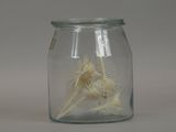 a glass jar with a skeleton in it on a table