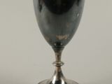 a silver goblet sitting on top of a table
