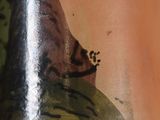 a close up of a glass with a frog on it