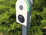 an image of a parking meter in front of a bush