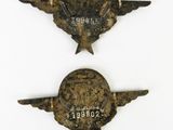 two small metal badges with wings on them on a white surface