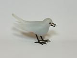 a white bird that is standing on a white surface