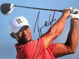 tiger woods autographed photo with golf ball and driver